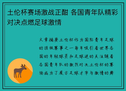 土伦杯赛场激战正酣 各国青年队精彩对决点燃足球激情